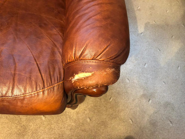 Cat Scratches Leather Repairs, Can You Repair Cat Scratches On Leather Furniture